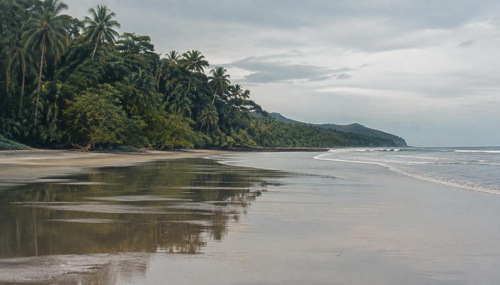Palm-lined Pacific beach with forested headland